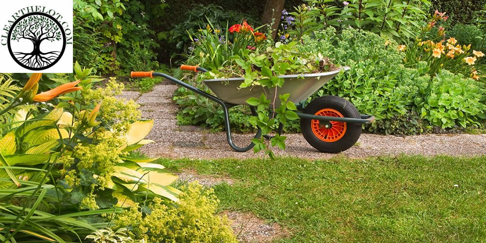 6 causes to appoint a garden clearance corporation