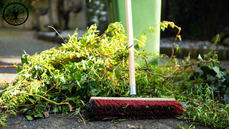 Garden Clearance: Green waste removal for gardens