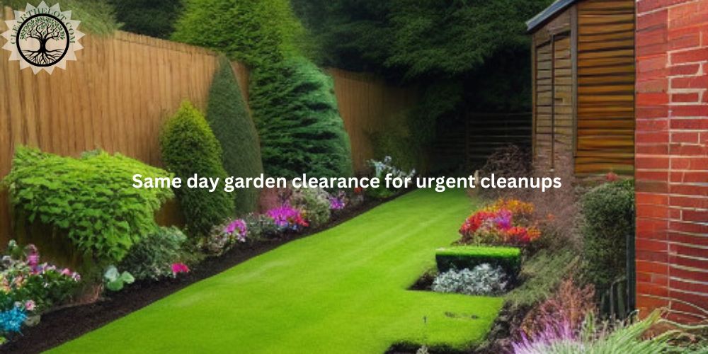 Same day garden clearance for urgent cleanups